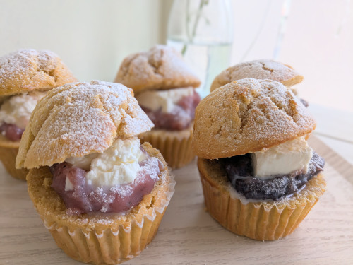 本日のお品書き