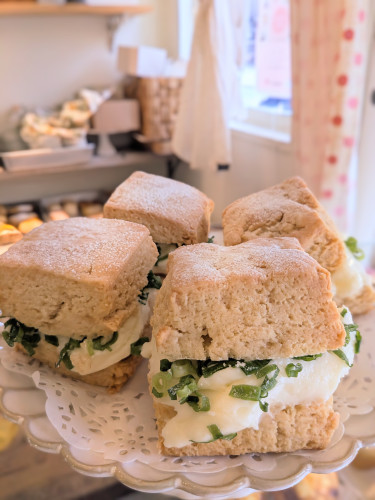 本日のお品書き