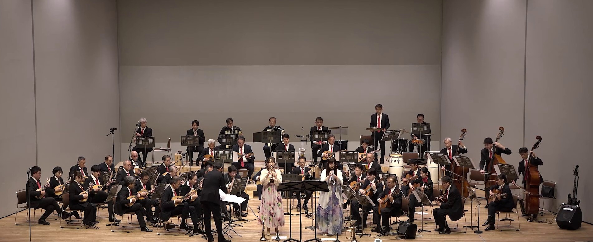 Regular concert