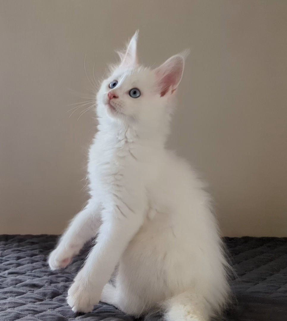 エルちゃん