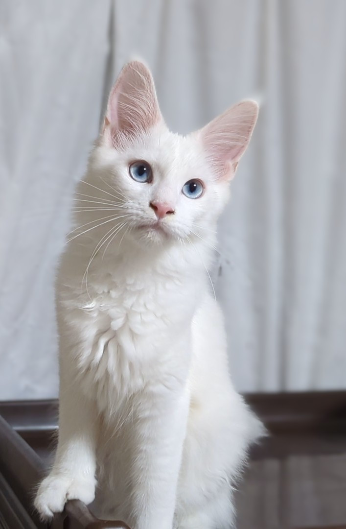 エルちゃん