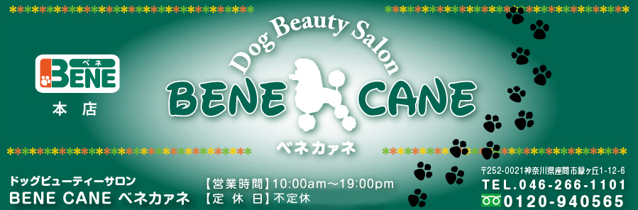 Pet Beauty Salon ベネカァネ