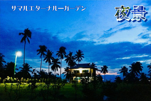 園内のビデオ最新版