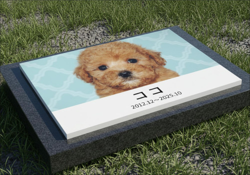 永遠石にさらなる新商品「SOLO」誕生