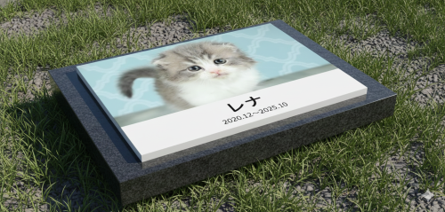 新商品発売記念キャンペーン