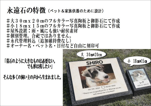 永遠石特徴_01.JPG