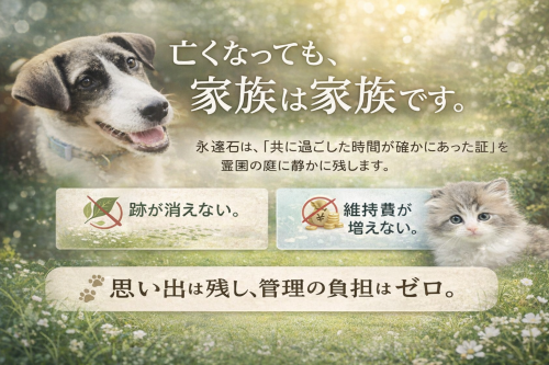 ChatGPT Image 2025年12月26日 00_58_17.png