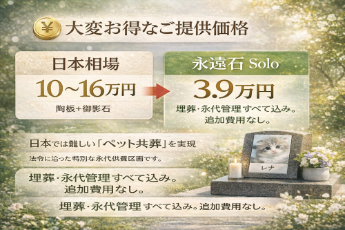 ChatGPT Image 2025年12月26日 20_47_10.png