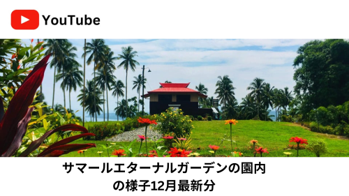 サマールエターナルガーデンの園内の様子12月最新分.png