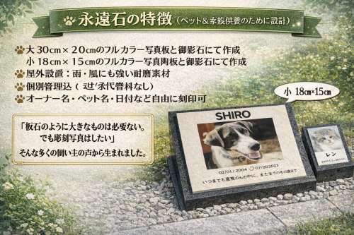 ChatGPT Image 2025年12月28日 07_26_32.png