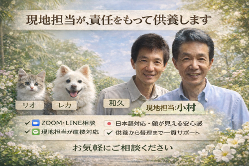 ChatGPT Image 2025年12月29日 10_45_28.png