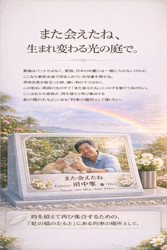 ChatGPT Image 2026年2月7日 15_42_08.png