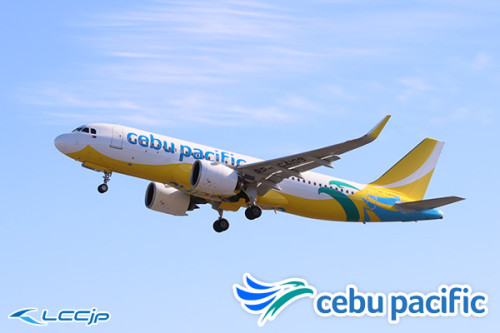 日本片道100円プロモ