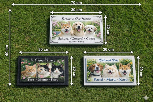 ChatGPT Image 2026年3月19日 12_50_51.png