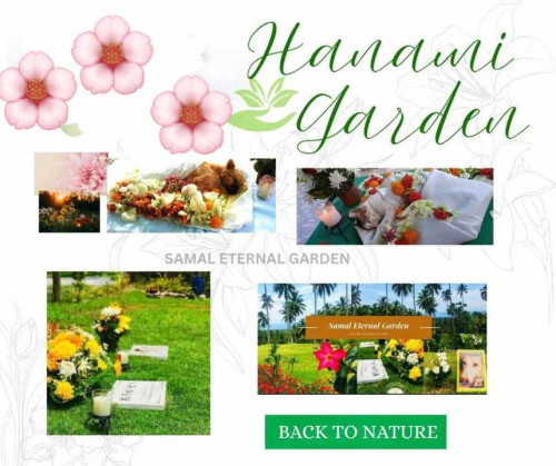 Hanami garden.jpg