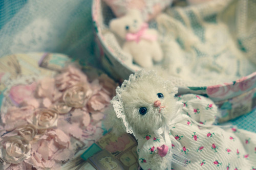 babybox2019.jpg