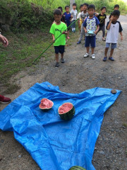 image6 (1).jpeg