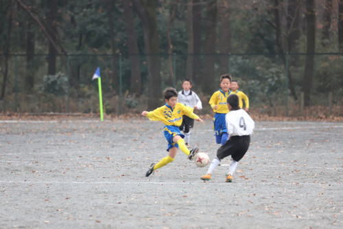 IMG_8696.JPG