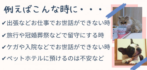 例えばこんな時に.png