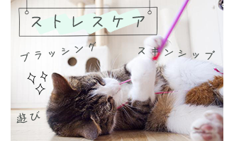 p-service-04-2.png