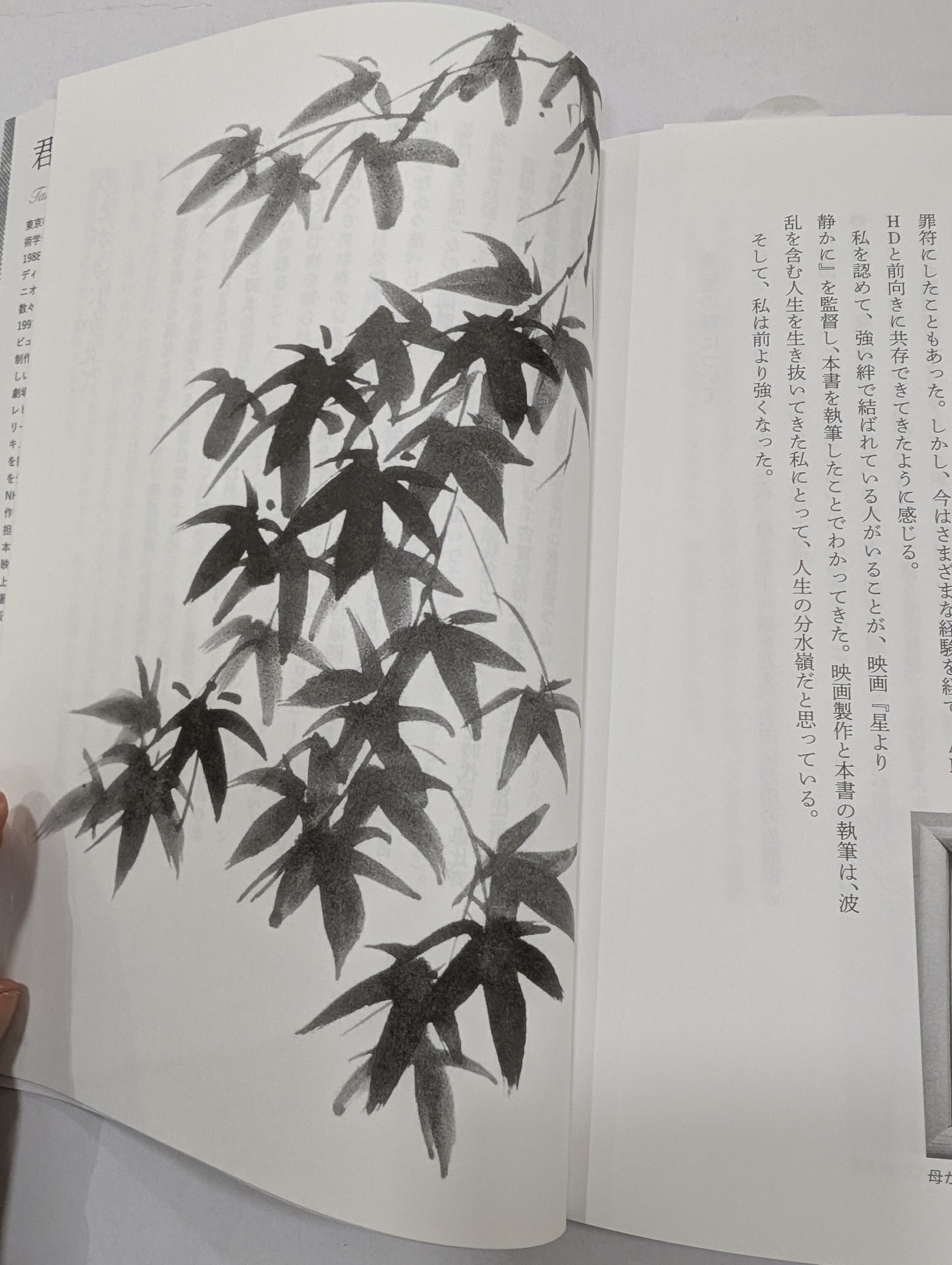PXL_20250704_081056096.jpg