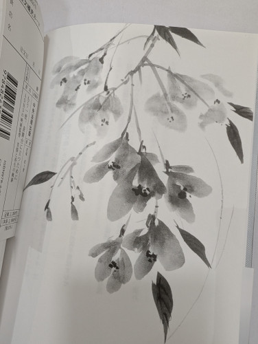 PXL_20250704_081127299.jpg