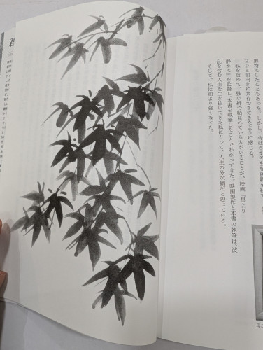 PXL_20250704_081056096.jpg