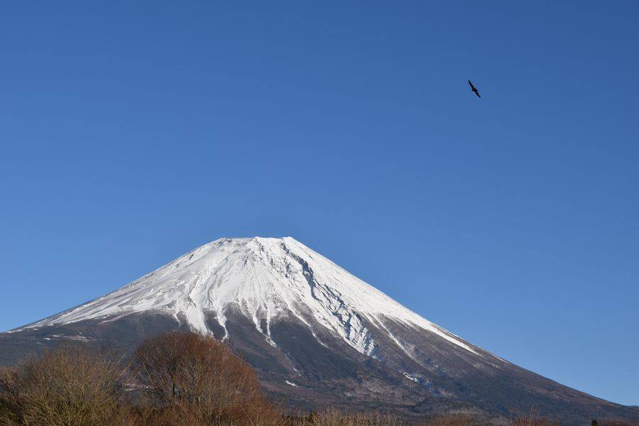 えいちのむらからの富士山