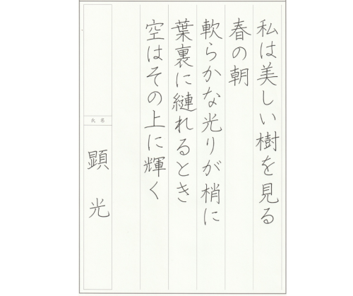 5.png