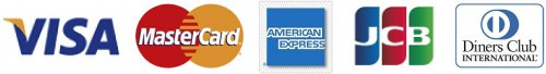 visa-master-amex-jcb-diners-icon-500x68.jpg