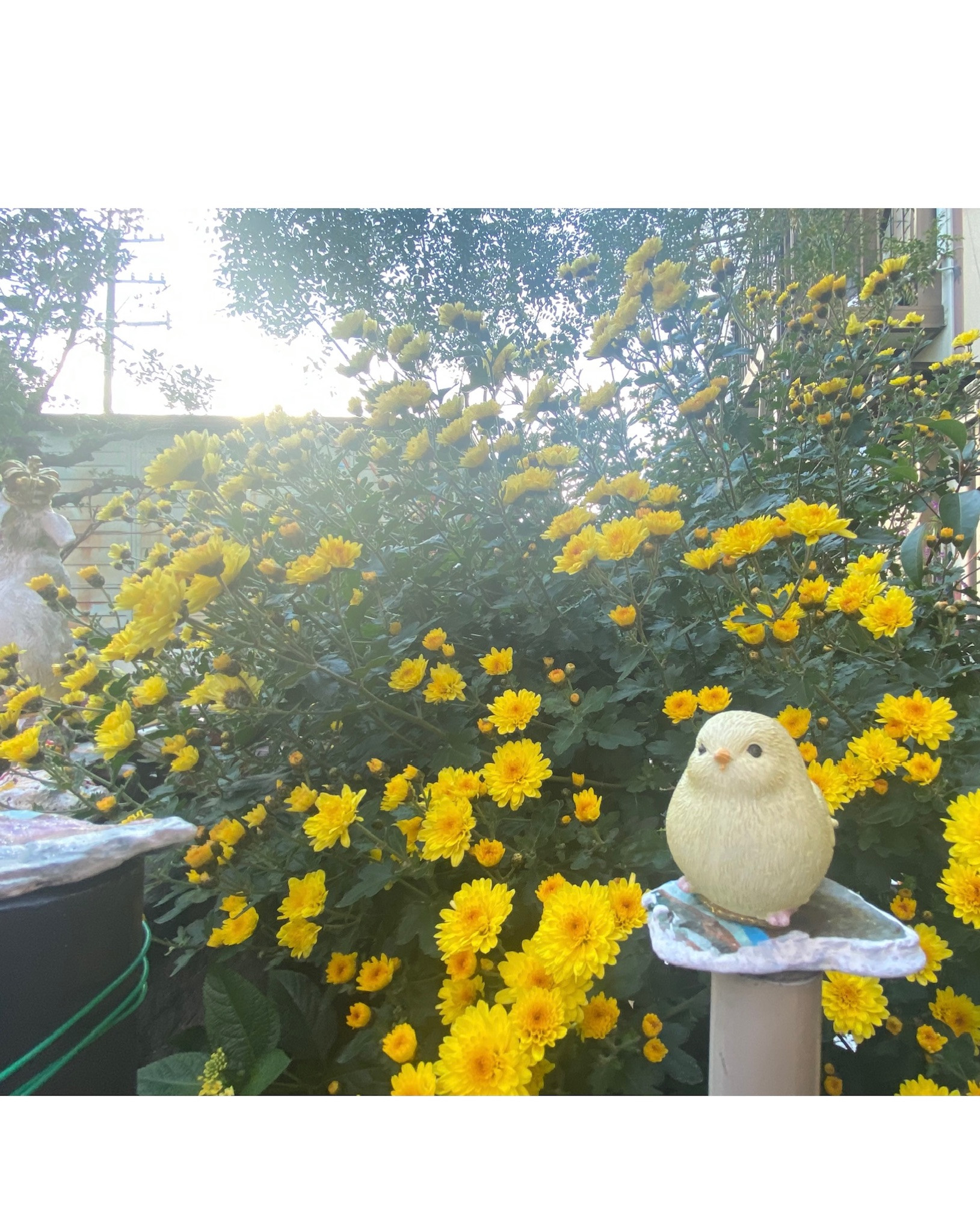 本年もどうぞよろしくお願いいたします✨