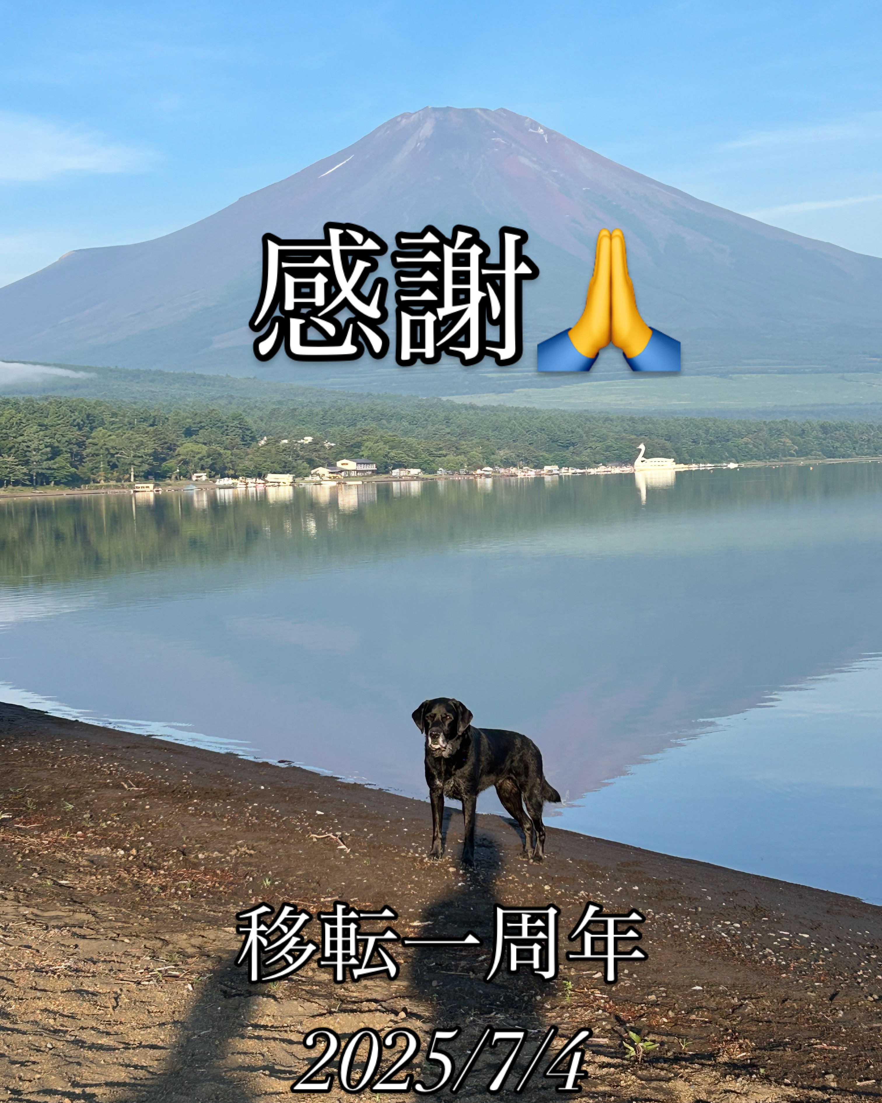 お陰様で一周年💕