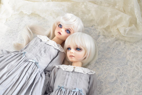ドールショウ68に参加します