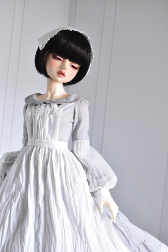 ドルパ55に参加します