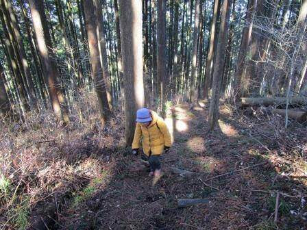 takayama20180217aaaa.jpg