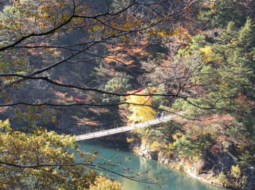 yumenoturihasi20201114aaa.JPG