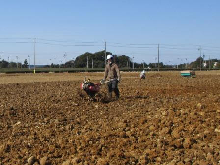 isihiroi20210211aa.JPG