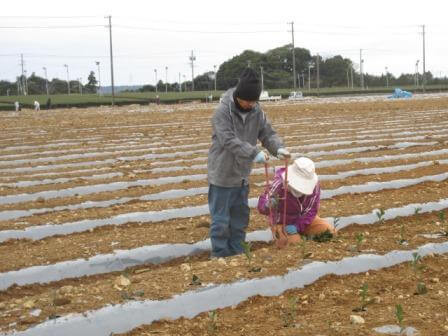 teisyoku20210305aa.JPG