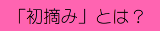 hatutumitoha2022.png