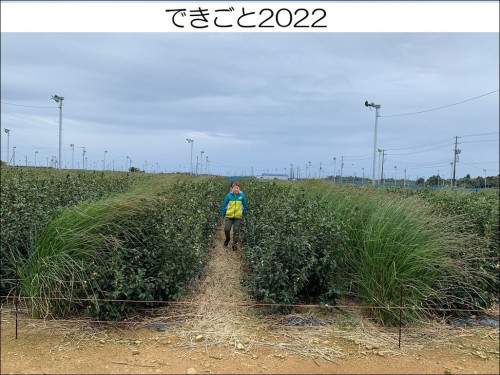 dekigoto20221120.jpg