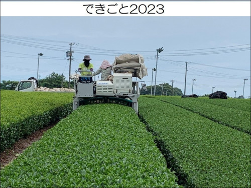 dekigoto20230606d.jpg
