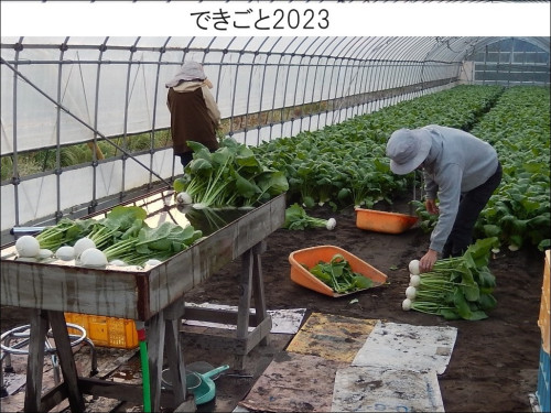 dekigoto20231124d.jpg