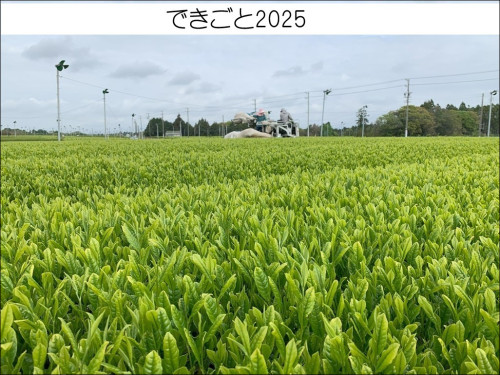 dekigoto20250422d.jpg