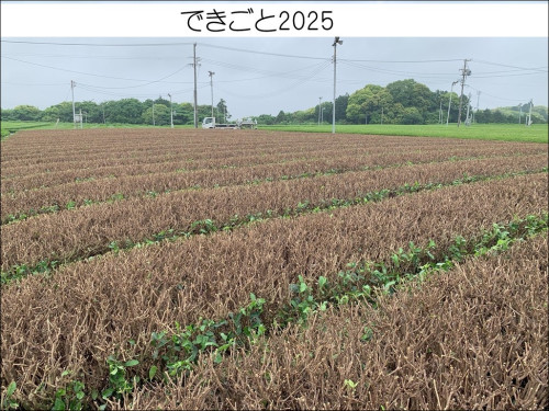 dekigoto20250518d.jpg