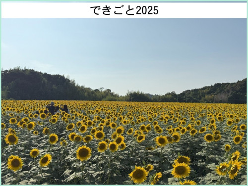 dekigoto20250823d.jpg
