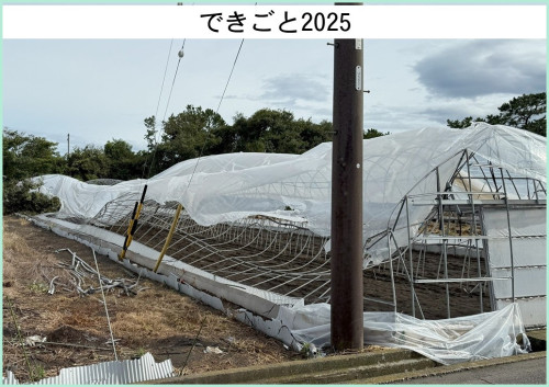 dekigoto20250905d.jpg