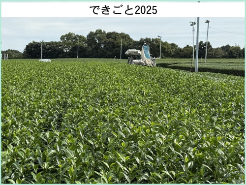 dekigoto20251015d.jpg