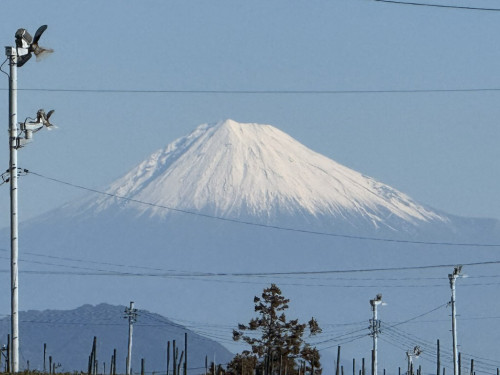 fujisan20260108d.jpeg