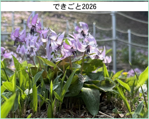 dekigoto20260326d.jpg