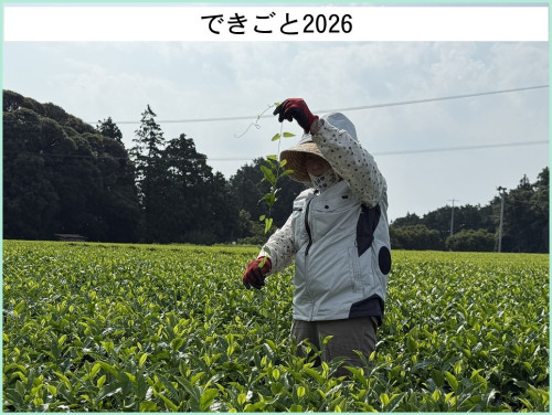 dekigoto20260717d.jpg